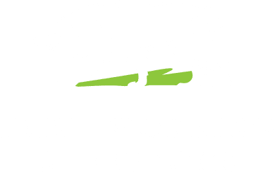 Irish Working Sheepdogs